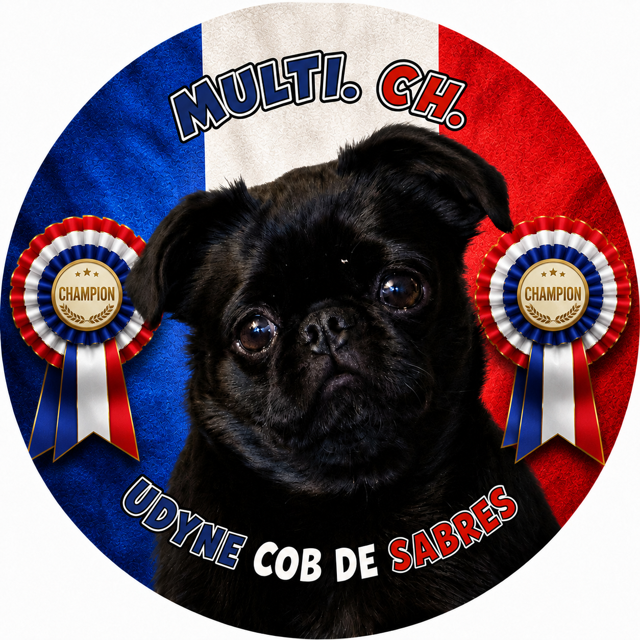 CH. Udyne cob de Sabres