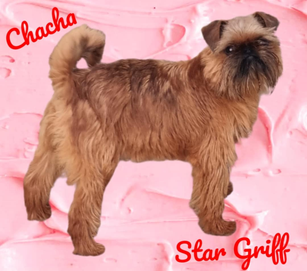 star griff Vanilla Sky dite Chacha