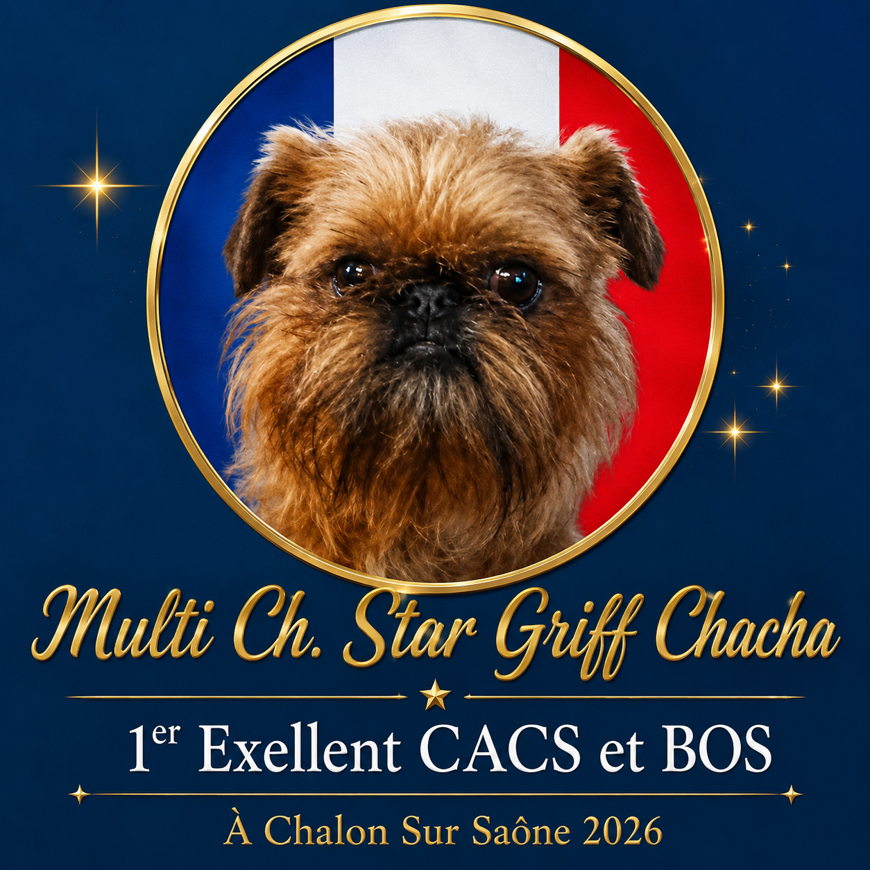 CH. star griff Vanilla Sky dite Chacha