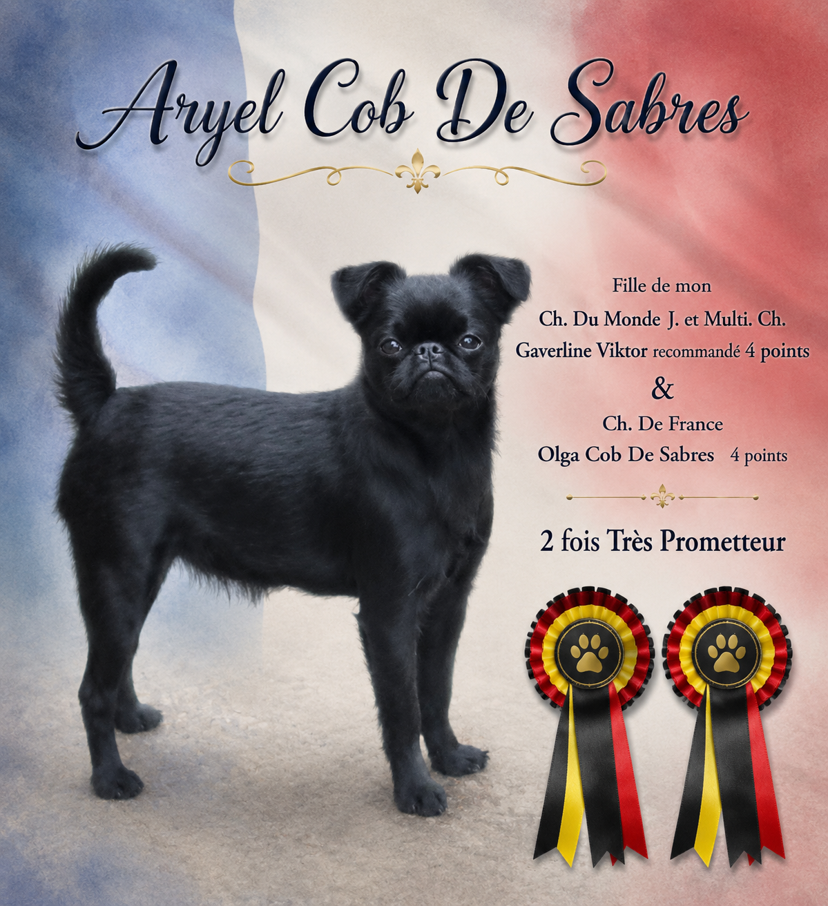 Aryel Cob de Sabres